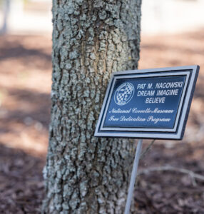Metal plaque mounted on a stand beside a tree trunk at the National Corvette Museum, engraved with the name “Pat M. Nagowski” and the words “Dream Imagine Believe – National Corvette Museum Tree Dedication Program.”